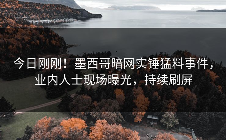 今日刚刚！墨西哥暗网实锤猛料事件，业内人士现场曝光，持续刷屏