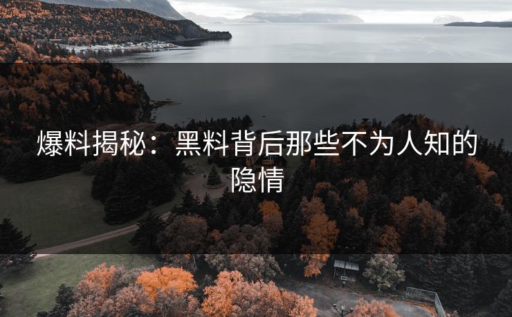 爆料揭秘：黑料背后那些不为人知的隐情