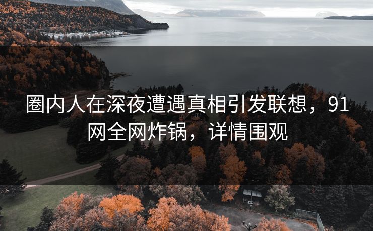 圈内人在深夜遭遇真相引发联想，91网全网炸锅，详情围观