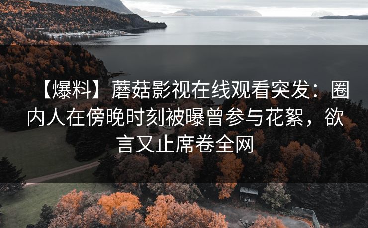 【爆料】蘑菇影视在线观看突发：圈内人在傍晚时刻被曝曾参与花絮，欲言又止席卷全网