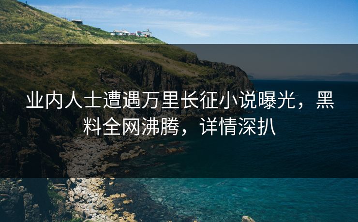 业内人士遭遇万里长征小说曝光，黑料全网沸腾，详情深扒